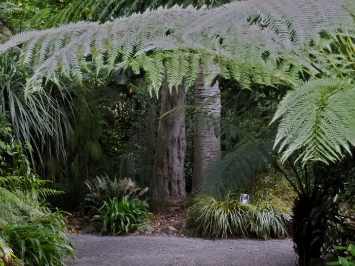 newzealand-garden