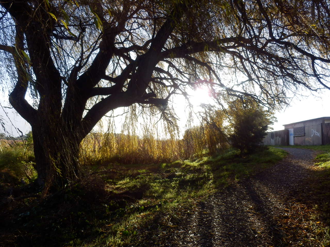 トラヴィス風景写真