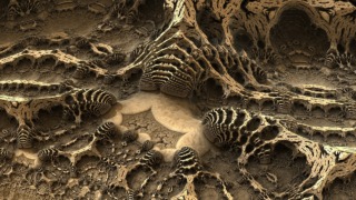 fractal-fossil