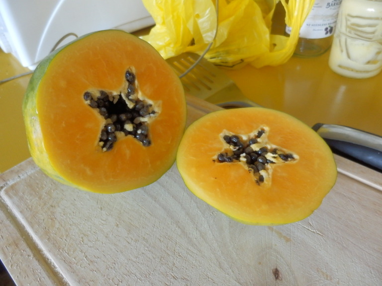 ポーポー？-パパイア