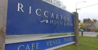 リッカートンブッシュ看板