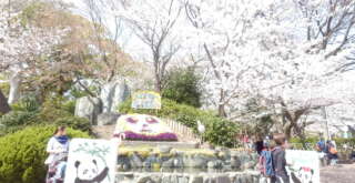王子動物園入り口